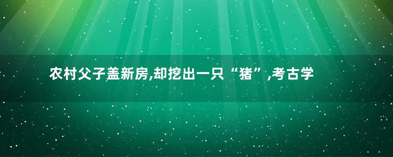 农村父子盖新房,却挖出一只“猪”,考古学家到了后说"继续挖"。